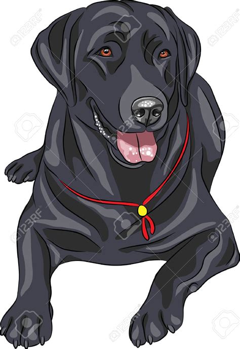 black labrador dog wallpapers|black lab clip art free.